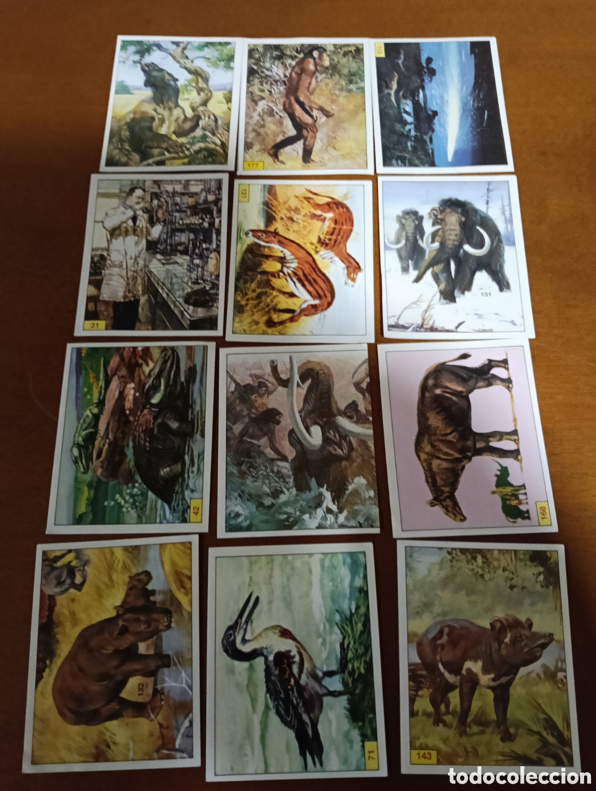 Coleccionismo cromos antiguos: Lote de 12 cromos de DINOSAURIOS de Panini - Foto 1