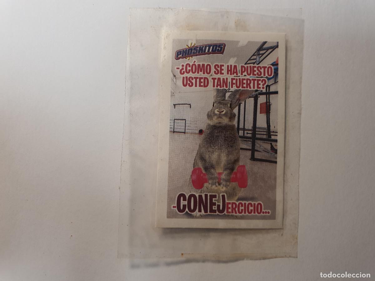 Coleccionismo Cromos antiguos: CROMO PHOSKITOS -- FRASES MEME - CONEJERCICIO