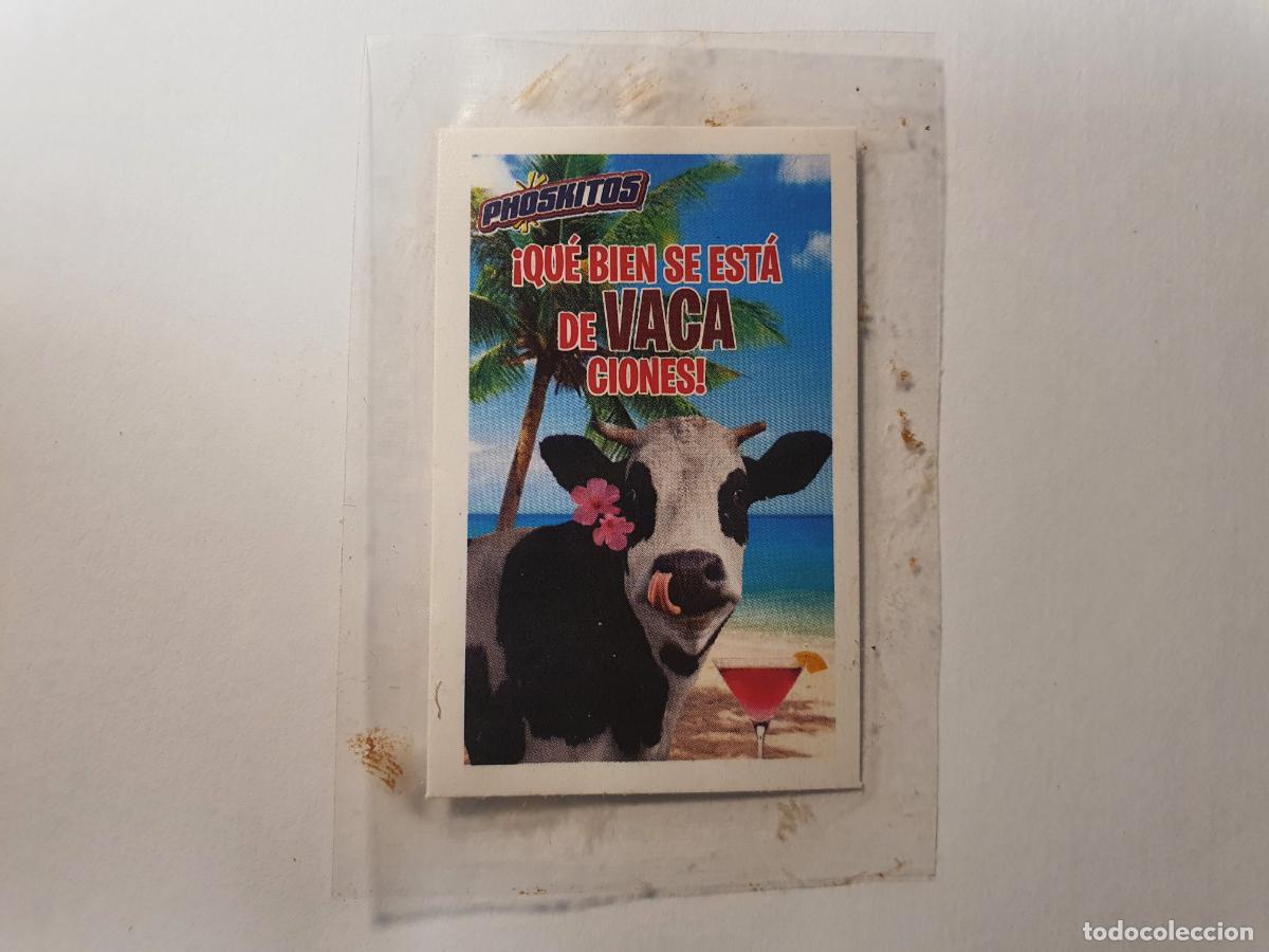 Coleccionismo Cromos antiguos: CROMO PHOSKITOS -- FRASES MEME - VACA