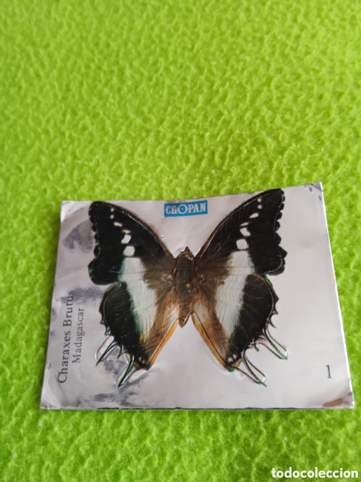 Coleccionismo cromos antiguos: Cromos CROPAN Mariposas . LOTE - Foto 3