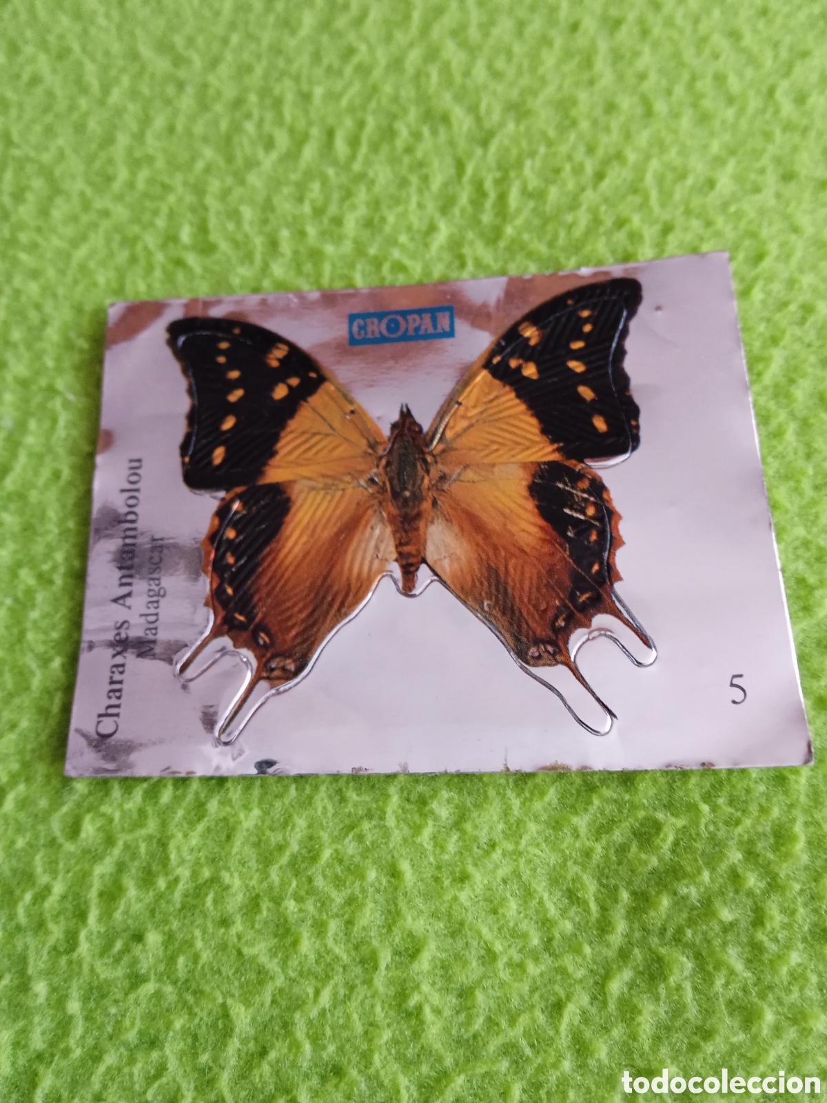 Coleccionismo cromos antiguos: Cromos CROPAN Mariposas . LOTE - Foto 5