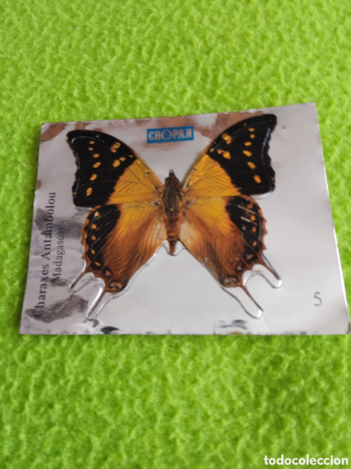 Coleccionismo cromos antiguos: Cromos CROPAN Mariposas . LOTE - Foto 6