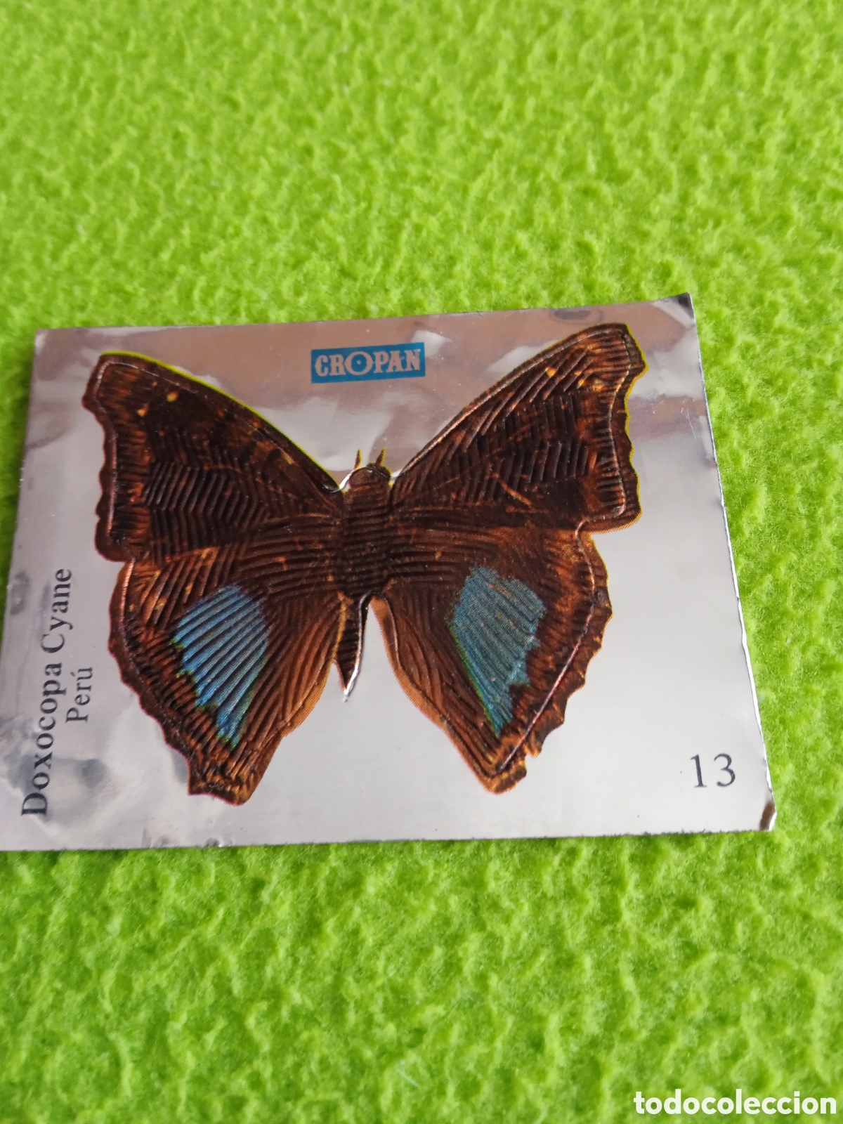 Coleccionismo cromos antiguos: Cromos CROPAN Mariposas . LOTE - Foto 9