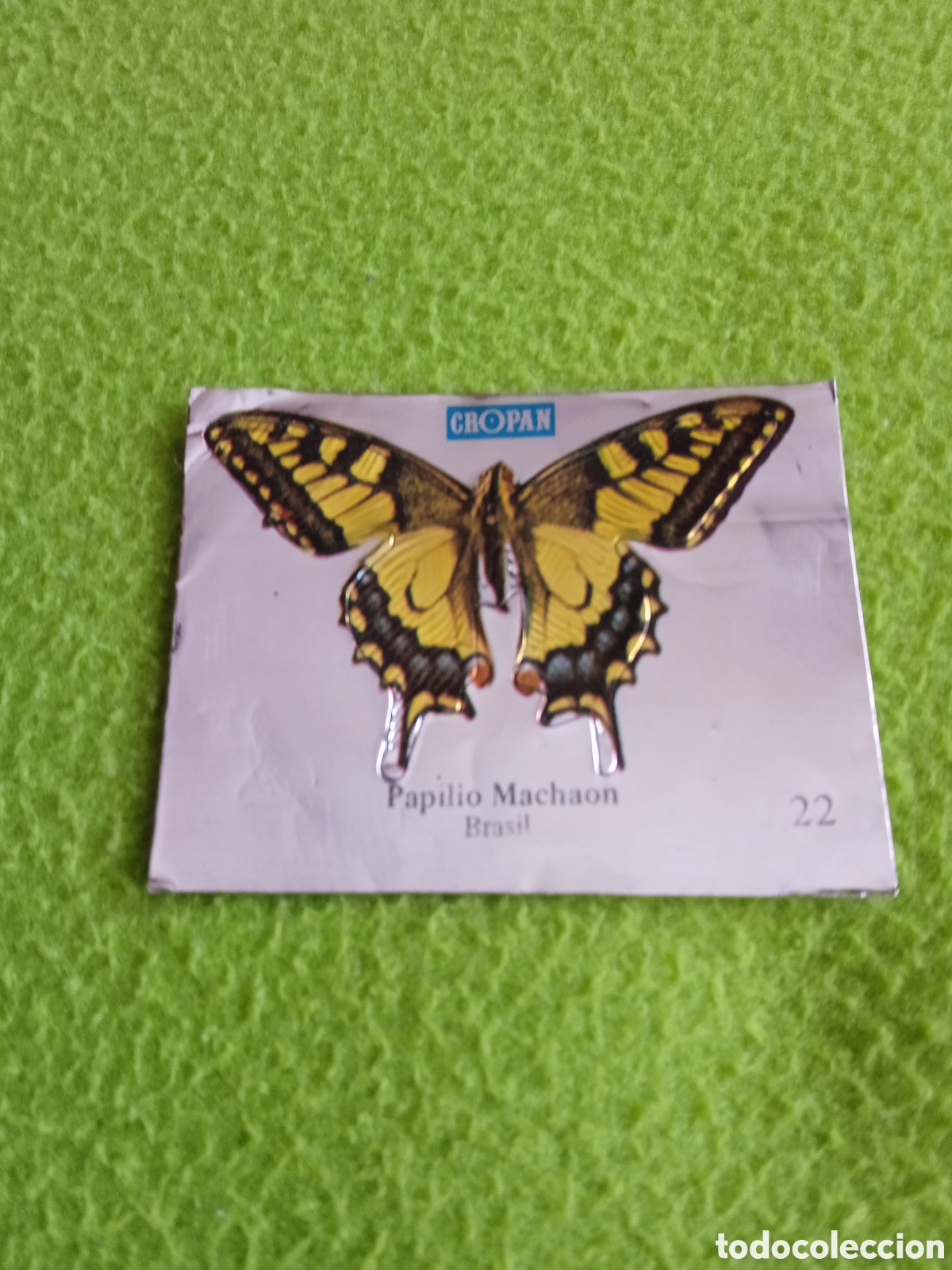 Coleccionismo cromos antiguos: Cromos CROPAN Mariposas . LOTE - Foto 12