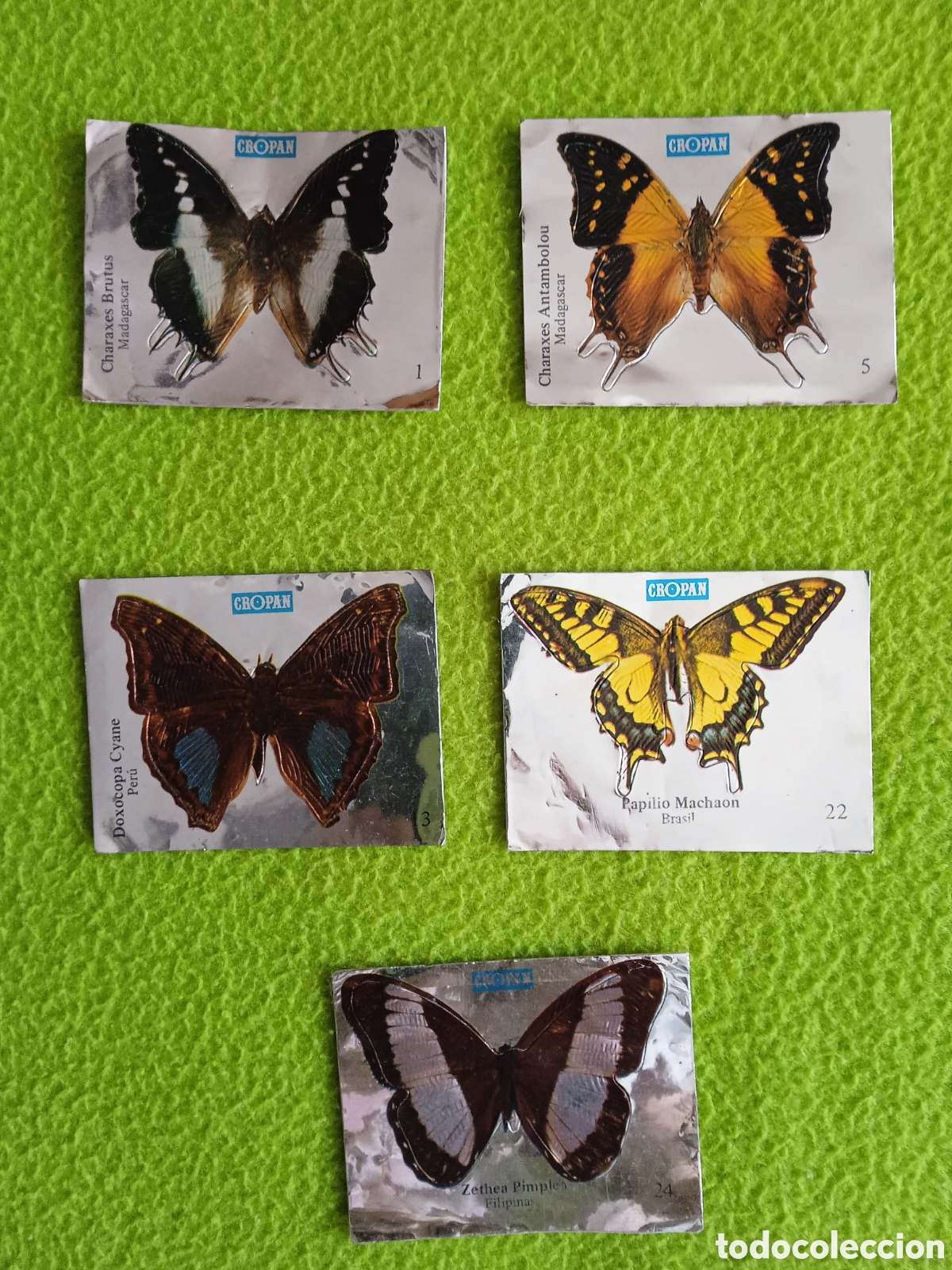 Coleccionismo cromos antiguos: Cromos CROPAN Mariposas . LOTE - Foto 1