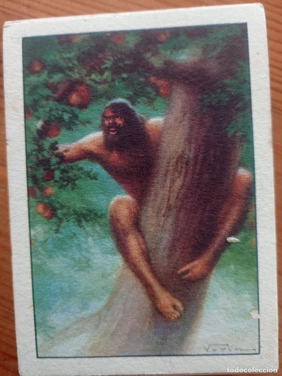Coleccionismo cromos antiguos: HISTORIA DEL PROGRESO HUMANO COLECCI&Oacute;N DE 28 CROMOS. Chocolates Amatller - Foto 4