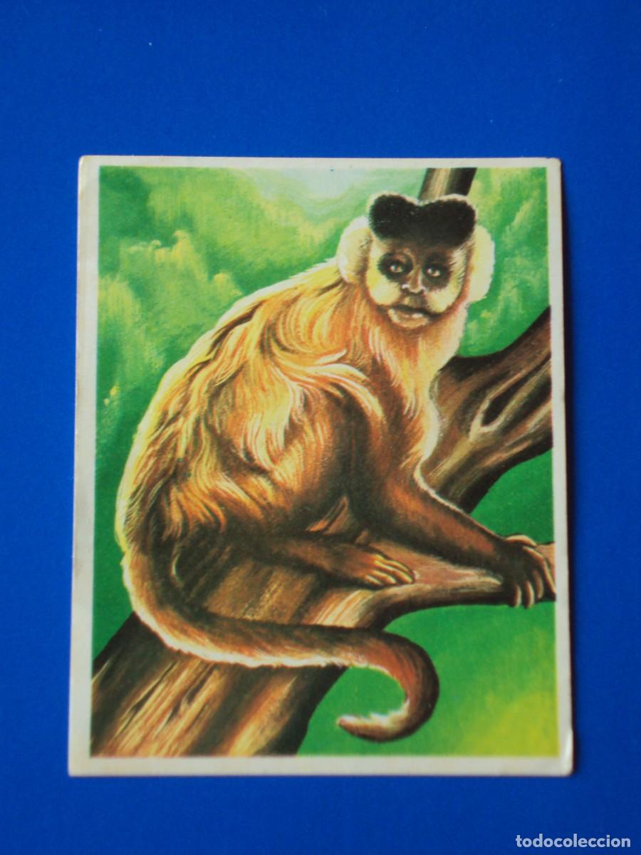 Coleccionismo cromos antiguos: N&ordm; 204 AMERICA Y SUS HABITANTES MAGA 1968 CROMO RECUPERADO
