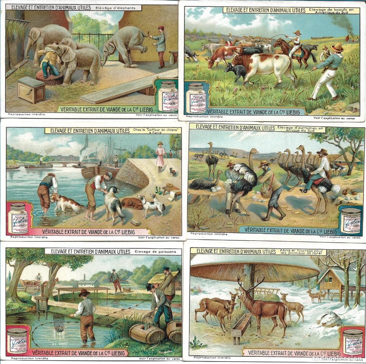 Sammeln alte Sammelbilder: LIEBIG SANGUINETTI 1176