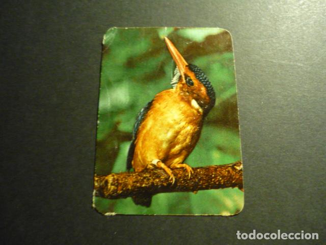 Collectable Antique Stickers: ANIMALES ZOOLOGIA ANTIGUO CROMO