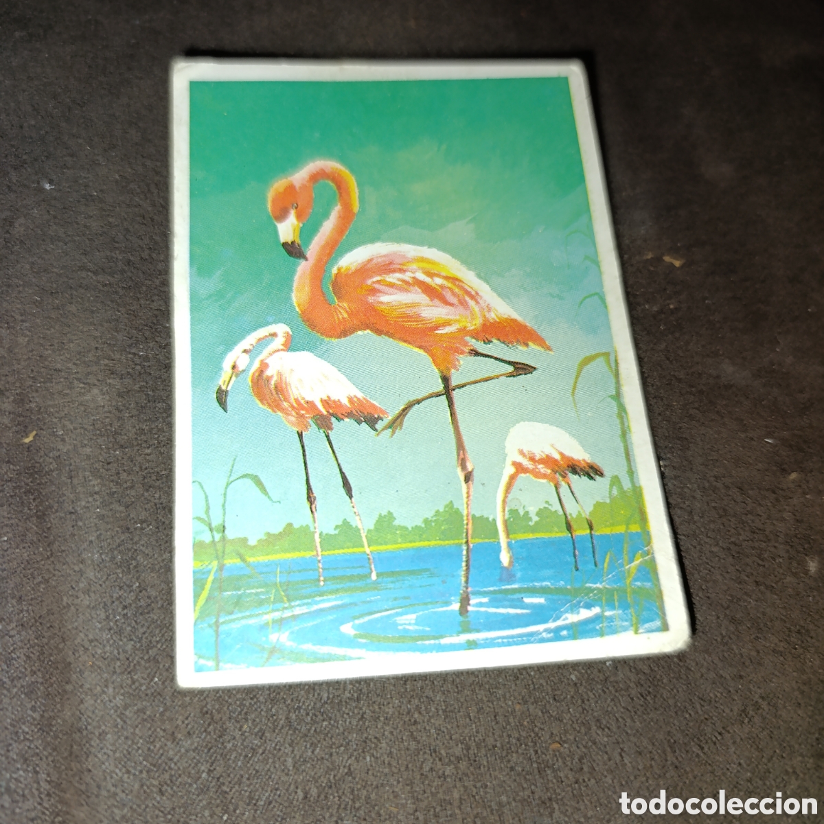 Coleccionismo cromos antiguos: Dunkin Super Cromo,N&deg;3,LAS AVES. - Foto 1