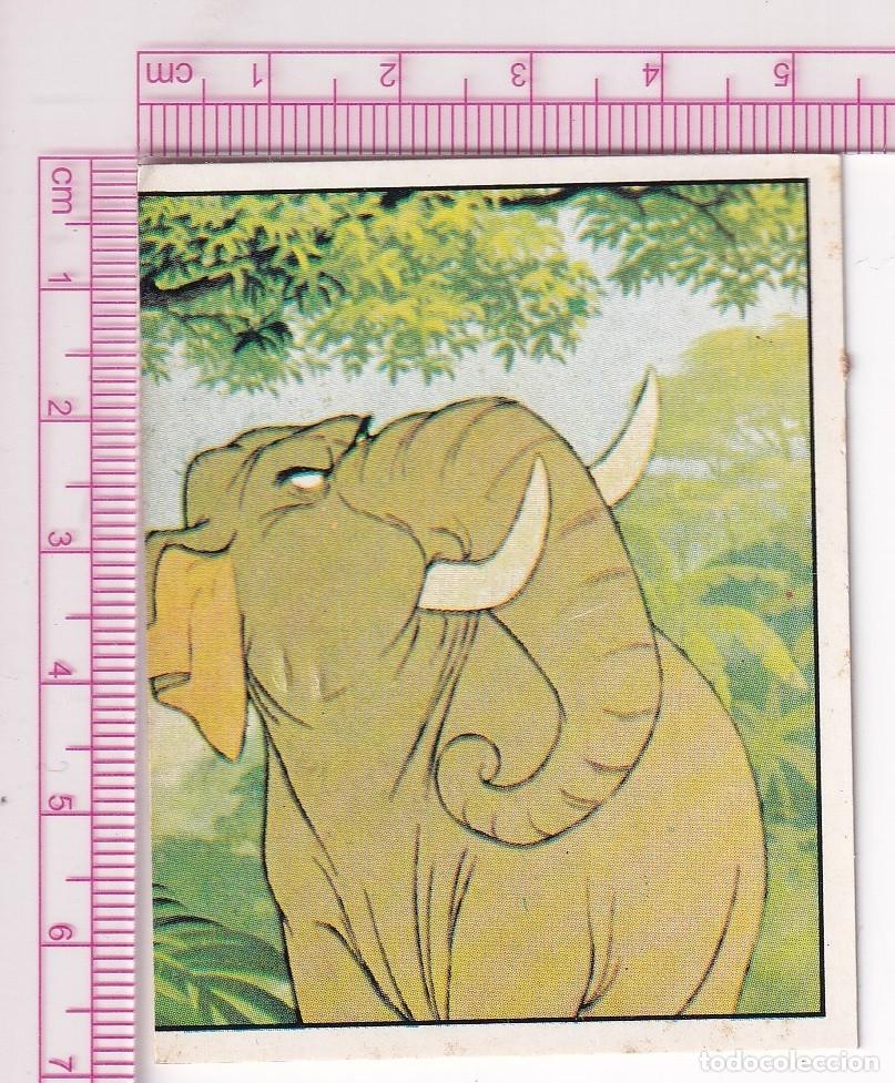 Coleccionismo cromos antiguos: CROMO N&ordm; 226 DE LA COLECCI&Oacute;N EL LIBRO DE LA SELVA - Foto 1
