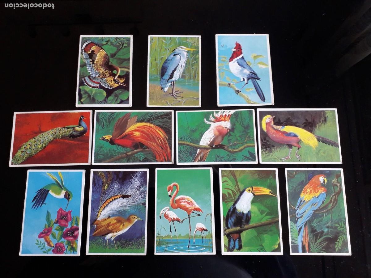 Coleccionismo cromos antiguos: SUPERCROMOS DUNKIN. &rdquo;LAS AVES&rdquo; (1969) completa - Foto 1