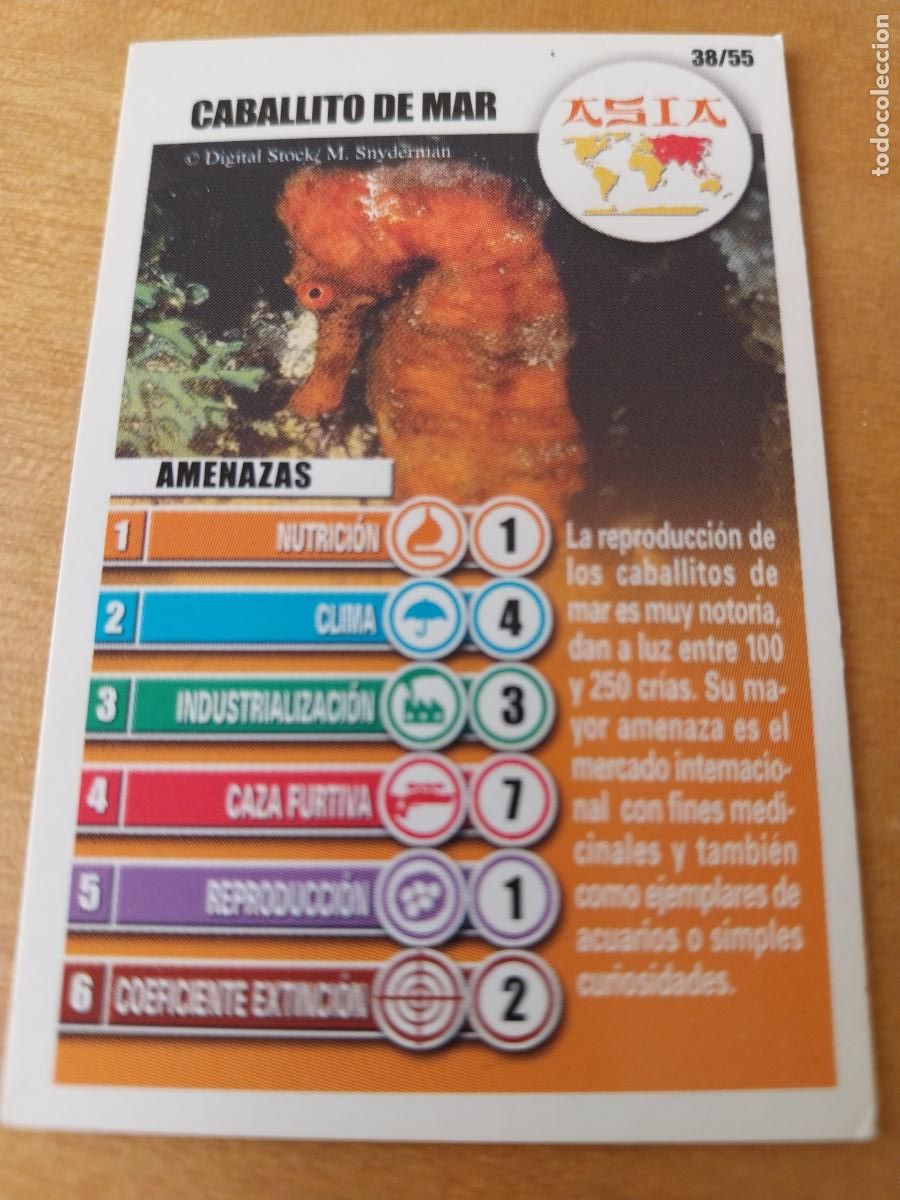 Coleccionismo Cromos antiguos: PANRICO BOLLYCAO CABALLITO MAR ASIATICO 38 ASIA CROMO PASTELITOS ORIGINAL