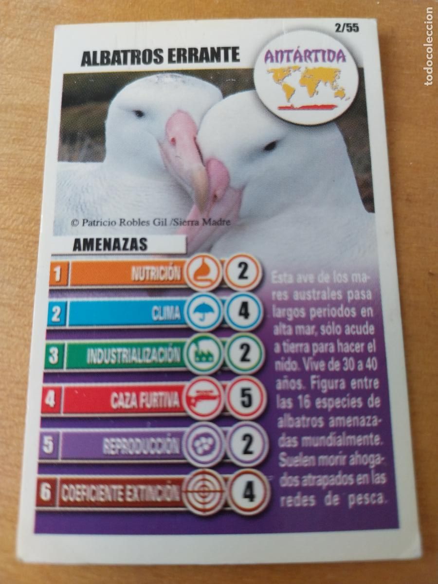 Coleccionismo Cromos antiguos: PANRICO BOLLYCAO ALBATROS ERRANTE 2 ANTARTIDA CROMO PASTELITOS ACCION RESCATE ORIGINAL