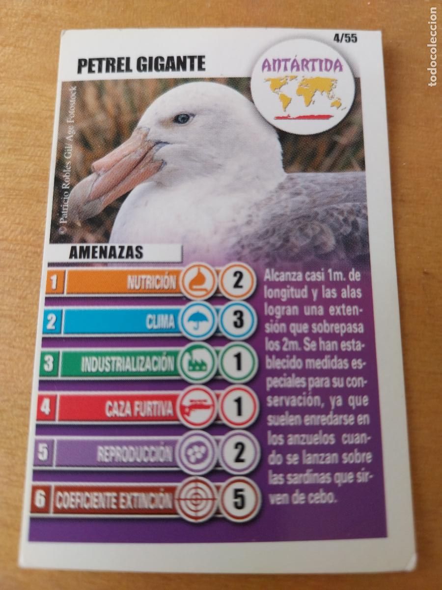 Coleccionismo Cromos antiguos: PANRICO BOLLYCAO PETREL GIGANTE 4 ANTARTIDA CROMO PASTELITOS ACCION RESCATE ORIGINAL