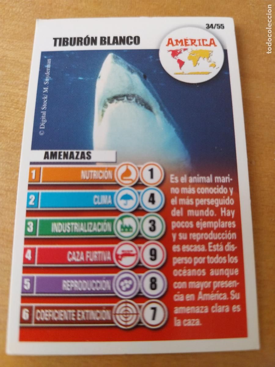 Coleccionismo Cromos antiguos: PANRICO BOLLYCAO TIBURON BLANCO 34 AMERICA CROMO PASTELITOS ACCION RESCATE ORIGINAL
