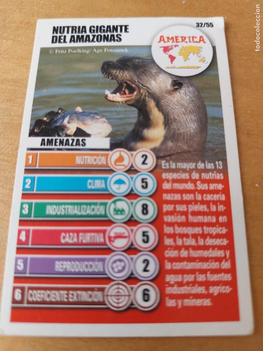 Coleccionismo Cromos antiguos: PANRICO BOLLYCAO NUTRIA GIGANTE AMAZONAS 32 AMERICA CROMO PASTELITOS ACCION RESCATE ORIGINAL
