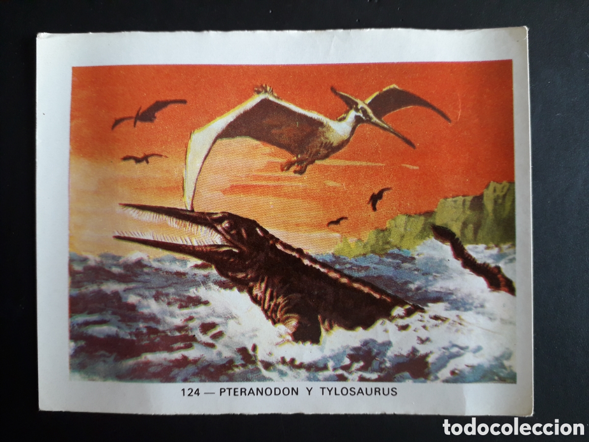 Collectionnisme Cartes &agrave; collectionner anciennes: PTERANODON Y TYLOSAURUS GEO CIENCIAS ED KEISA 1971 N&deg; 124 SIN PEGAR, PEDIDO M&Iacute;NIMO 3&euro;