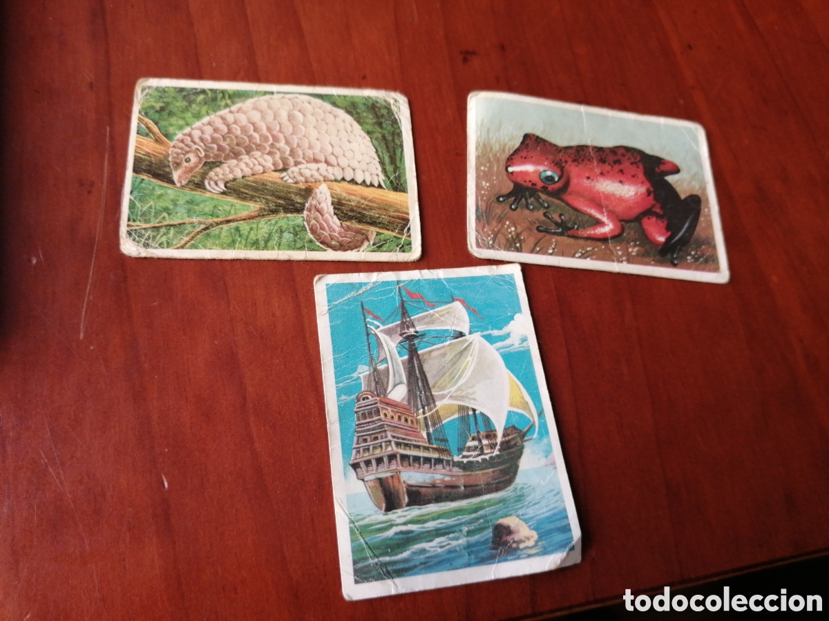 Collezionismo Figurine antiche: CROMO CROMOS VISION DE LA NATURALEZA