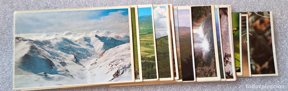 Coleccionismo cromos antiguos: LOTE 20 CROMOS COLECCION CATALUNYA PAISATGE , FLORA Y VEGETAC - NING&Uacute;N REPETIDO - NUNCA ENGANCHADOS