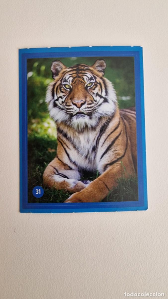 Coleccionismo cromos antiguos: 31 LOS PITUFOS ALCAMPO CUIDANDO EL PLANETA CON LOS PITUFOS - Foto 1