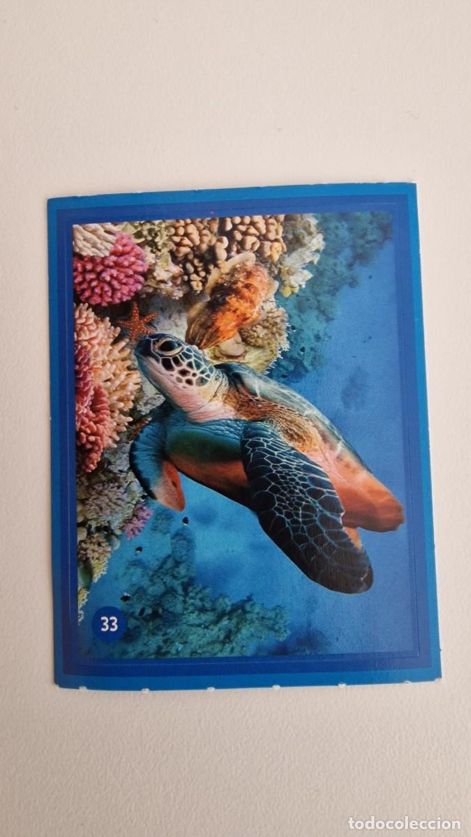 Coleccionismo cromos antiguos: 33 LOS PITUFOS ALCAMPO CUIDANDO EL PLANETA CON LOS PITUFOS - Foto 1