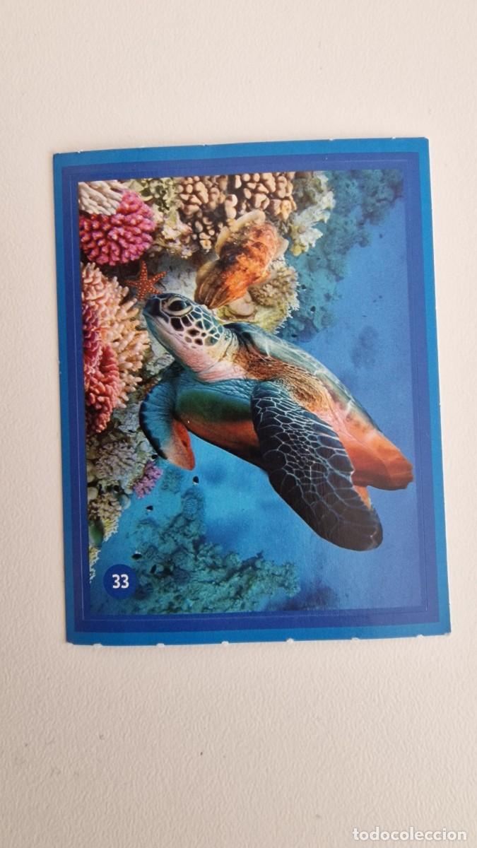 Coleccionismo cromos antiguos: 33 LOS PITUFOS ALCAMPO CUIDANDO EL PLANETA CON LOS PITUFOS - Foto 1
