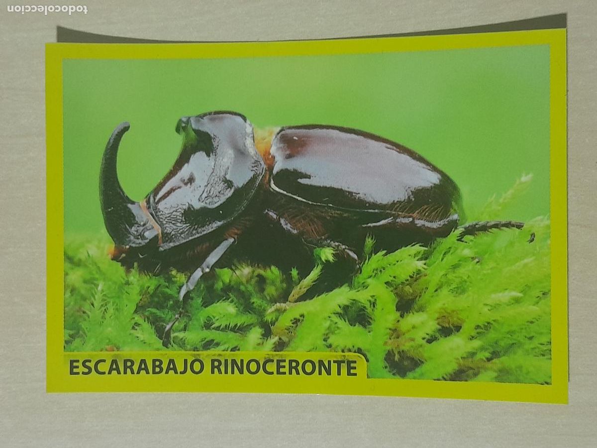 Sammeln alte Sammelbilder: CROMO N&ordm; 26 - ANIMALITOS - AMICI CUCCIOLOTTI - PANINI - 2017 - CROMO SIN PEGAR
