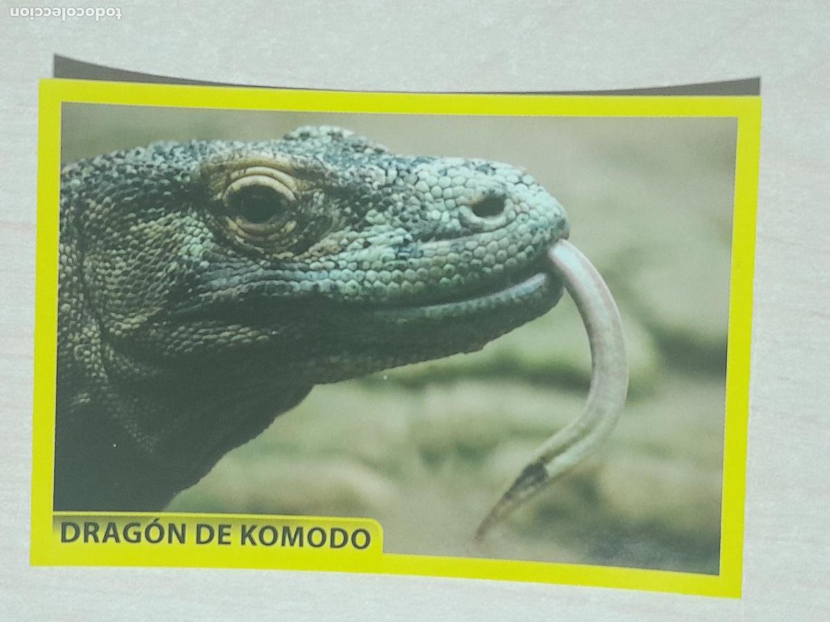 Sammeln alte Sammelbilder: CROMO N&ordm; 92 - ANIMALITOS - AMICI CUCCIOLOTTI - PANINI - 2017 - CROMO SIN PEGAR