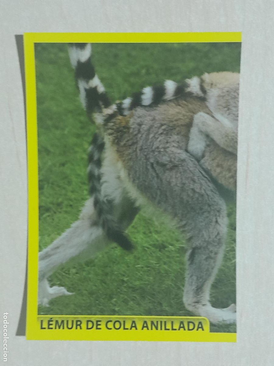 Sammeln alte Sammelbilder: CROMO N&ordm; 170 - ANIMALITOS - AMICI CUCCIOLOTTI - PANINI - 2017 - CROMO SIN PEGAR