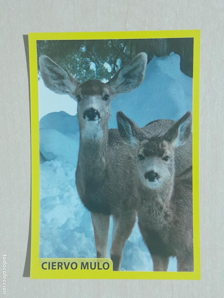 Coleccionismo cromos antiguos: CROMO N&ordm; 186 - ANIMALITOS - AMICI CUCCIOLOTTI - PANINI - 2017 - CROMO SIN PEGAR