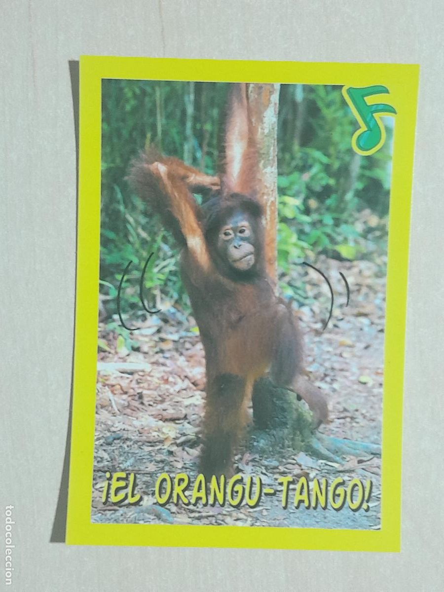 Sammeln alte Sammelbilder: CROMO N&ordm; 225 - ANIMALITOS - AMICI CUCCIOLOTTI - PANINI - 2017 - CROMO SIN PEGAR