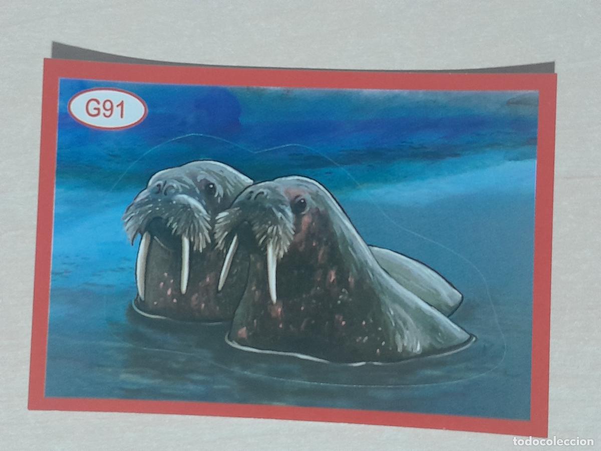 Colecionismo Cromos antigos: CROMO N&ordm; LETRA 91 - ANIMALITOS - AMICI CUCCIOLOTTI - PANINI - 2017 - CROMO SIN PEGAR
