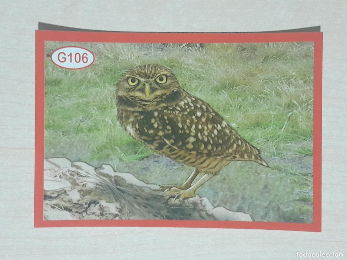 Colecionismo Cromos antigos: CROMO N&ordm; LETRA 106 - ANIMALITOS - AMICI CUCCIOLOTTI - PANINI - 2017 - CROMO SIN PEGAR