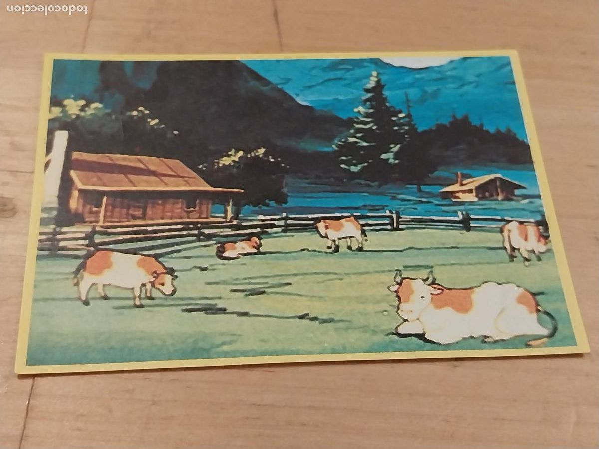 Coleccionismo Cromos antiguos: JACKY OSO TALLAC PROMOCIONAL DANONE A&Ntilde;OS 70 CROMO # 60 *'' SIN PEGAR NUNCA ORIGINAL