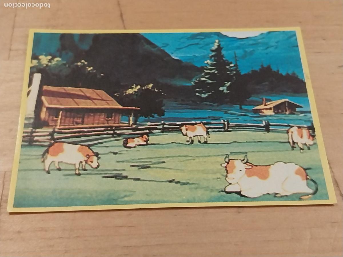 Coleccionismo Cromos antiguos: JACKY OSO TALLAC PROMOCIONAL DANONE A&Ntilde;OS 70 CROMO # 60 *' SIN PEGAR NUNCA ORIGINAL