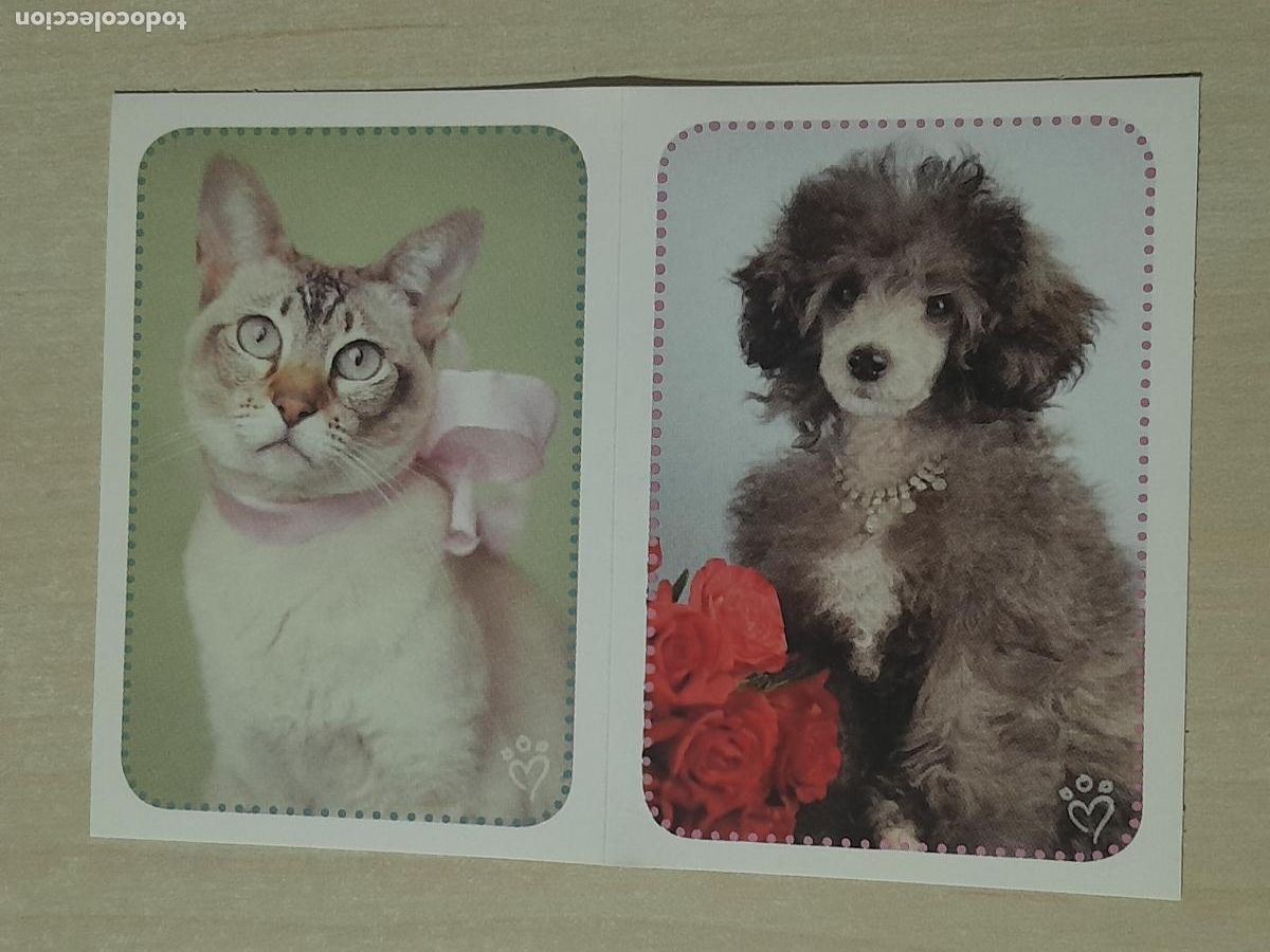 Collectable Antique Stickers: CROMO N&ordm; 174 - ANIMALITOS AUN MAS DIVERTIDOS - PANINI - SIN PEGAR
