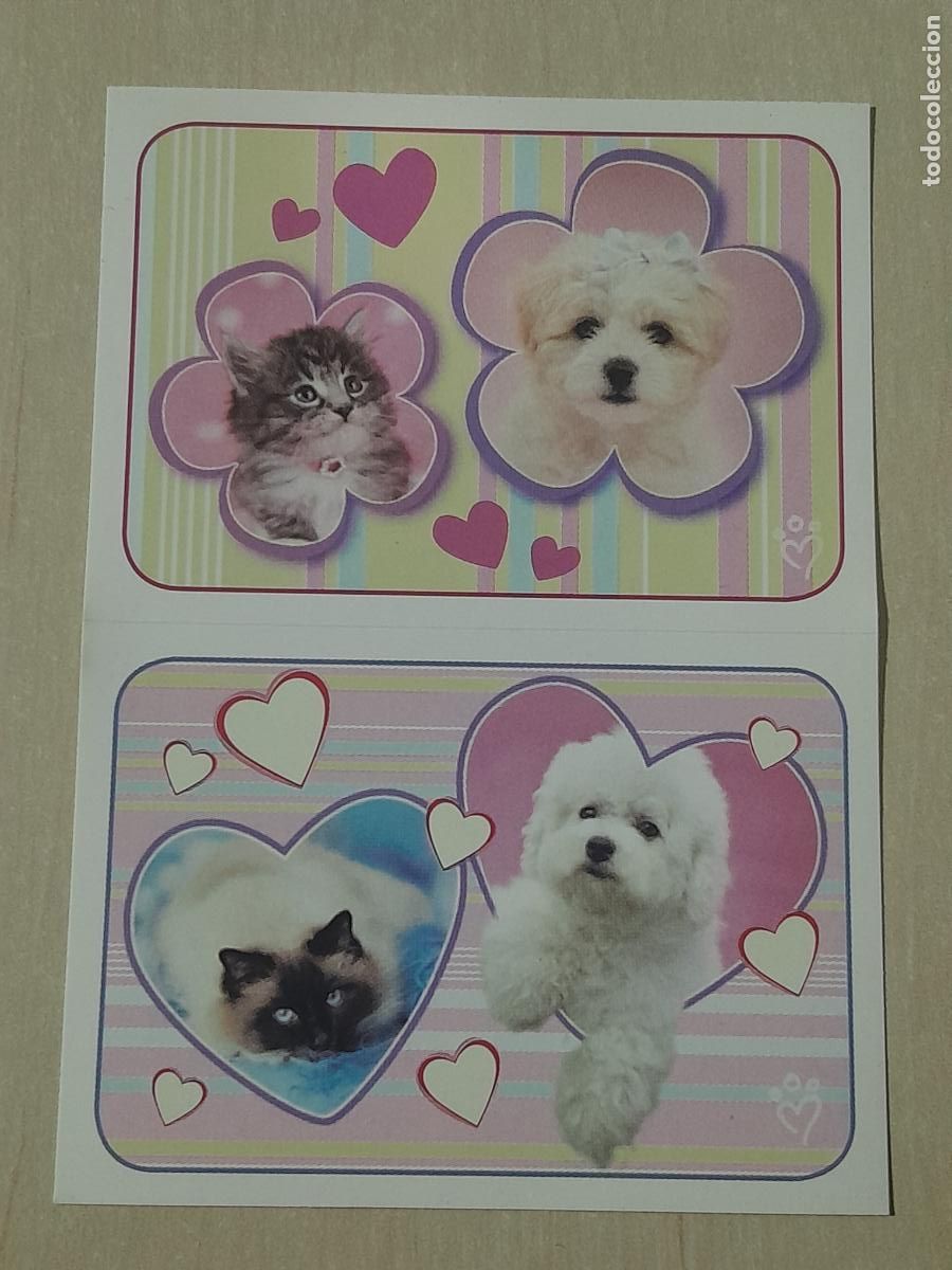 Colecionismo Cromos antigos: CROMO N&ordm; 173 - ANIMALITOS AUN MAS DIVERTIDOS - PANINI - SIN PEGAR