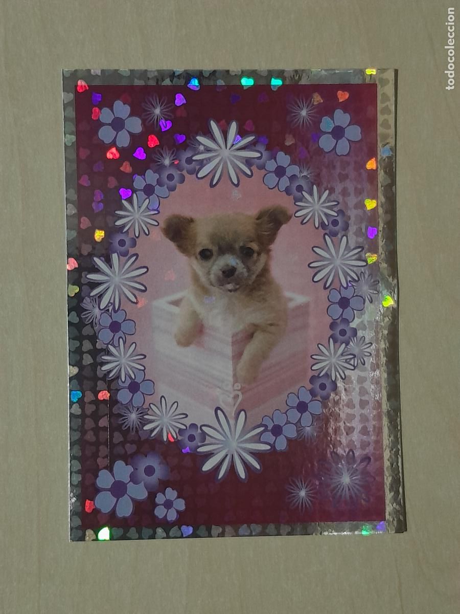 Colecionismo Cromos antigos: CROMO N&ordm; 150 - ANIMALITOS AUN MAS DIVERTIDOS - PANINI - SIN PEGAR