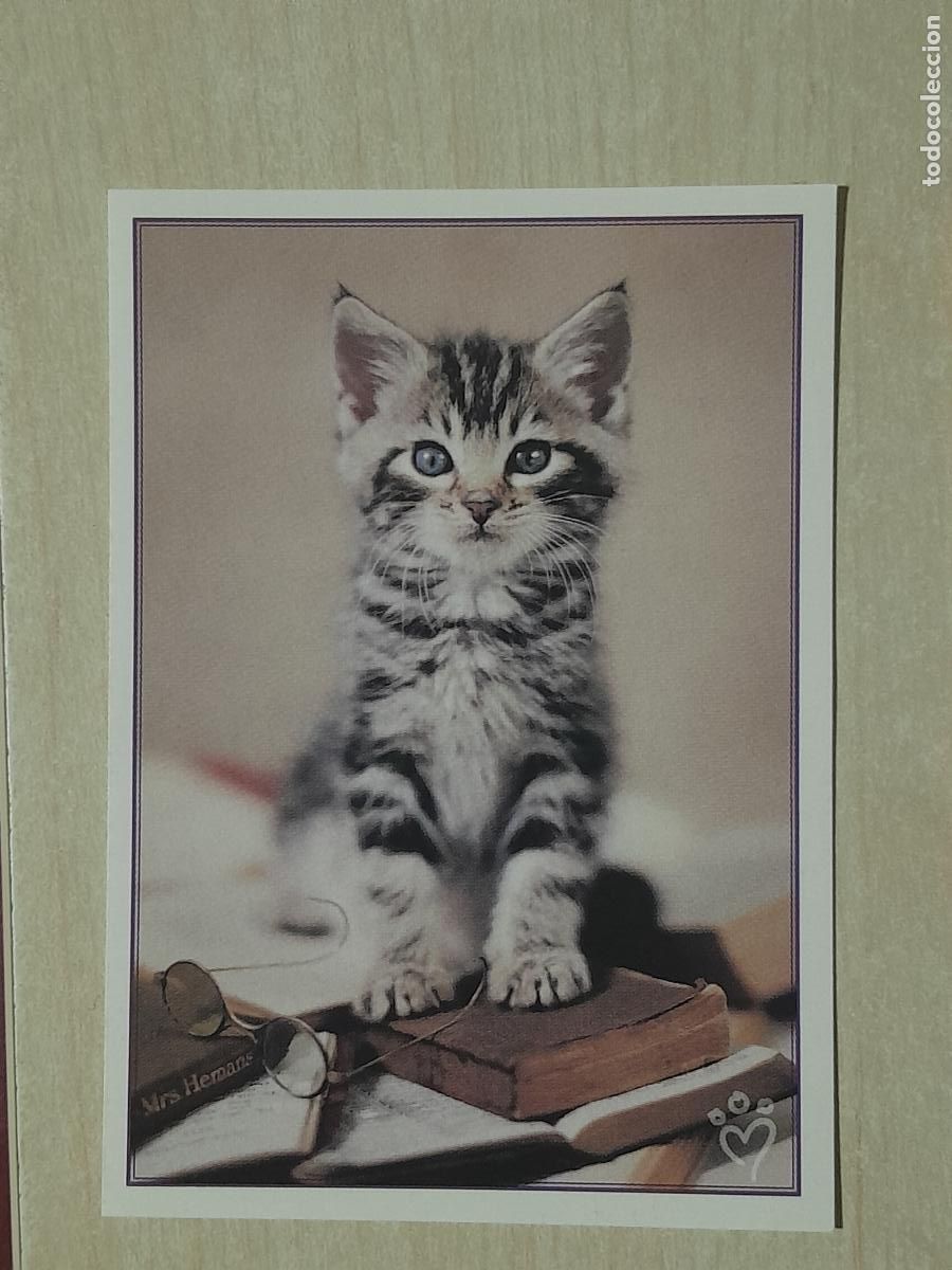Colecionismo Cromos antigos: CROMO N&ordm; 126 - ANIMALITOS AUN MAS DIVERTIDOS - PANINI - SIN PEGAR