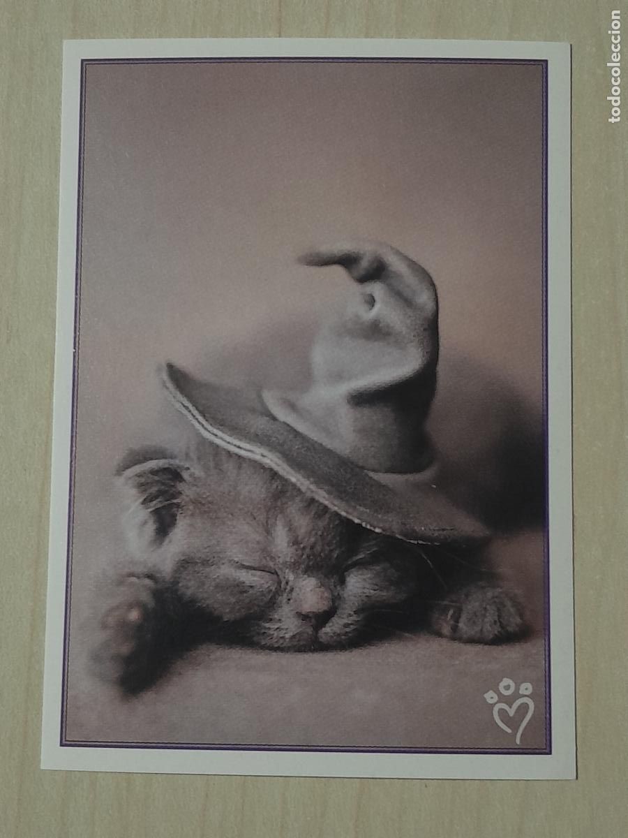 Colecionismo Cromos antigos: CROMO N&ordm; 103 - ANIMALITOS AUN MAS DIVERTIDOS - PANINI - SIN PEGAR