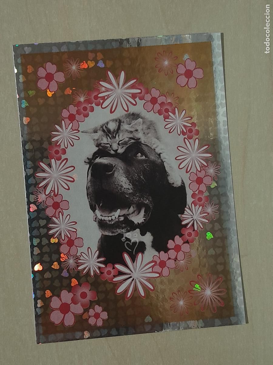 Coleccionismo cromos antiguos: CROMO N&ordm; 82 - ANIMALITOS AUN MAS DIVERTIDOS - PANINI - SIN PEGAR
