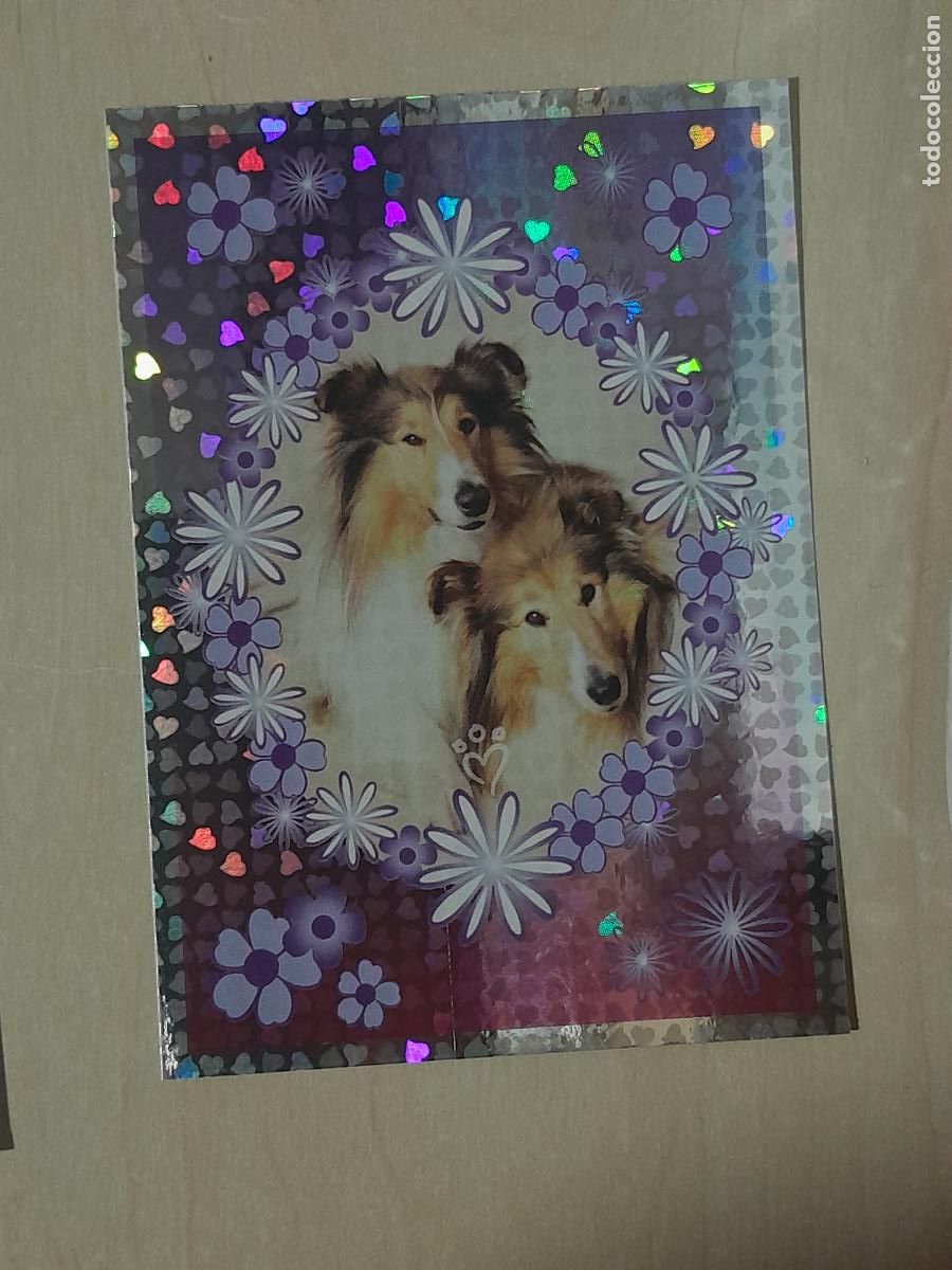 Collectable Antique Stickers: CROMO N&ordm; 24 - ANIMALITOS AUN MAS DIVERTIDOS - PANINI - SIN PEGAR