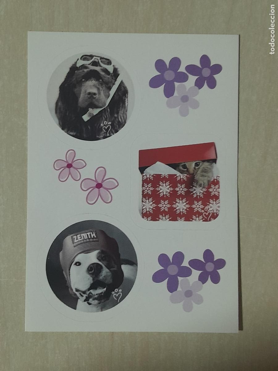 Collectable Antique Stickers: CROMO N&ordm; 2 - ANIMALITOS AUN MAS DIVERTIDOS - PANINI - SIN PEGAR