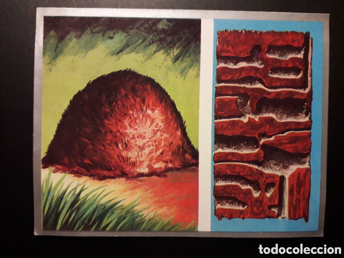 Coleccionismo Cromos antiguos: HORMIGAS, HORMIGUERO. ZOOLOG&Iacute;A Y BOT&Aacute;NICA N&deg; 49 ED MAGA 1969 DESPEGADO PEDIDO M&Iacute;NIMO 3&euro;
