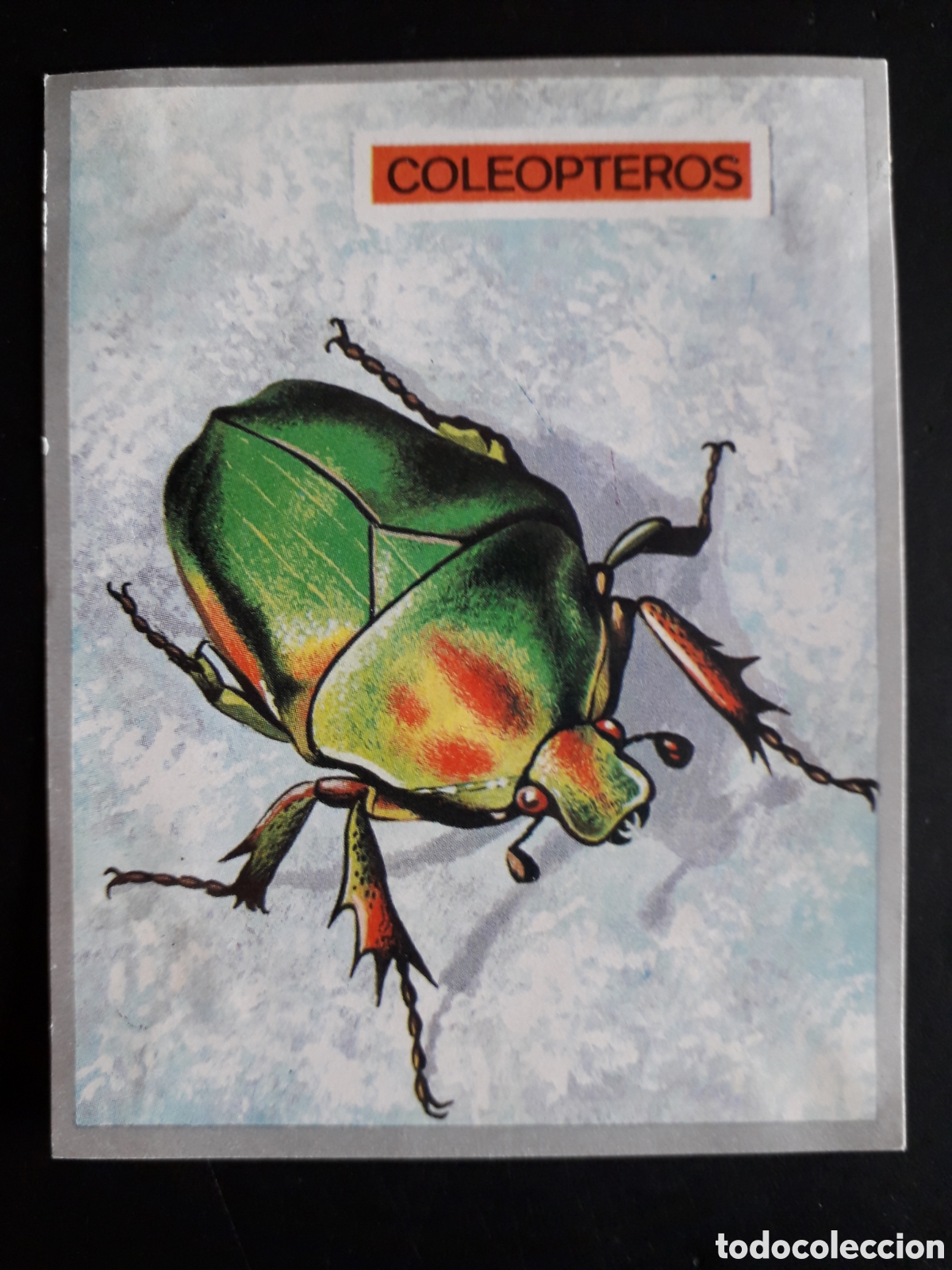 Colecionismo Cromos antigos: COLE&Oacute;PTEROS, ESCARABAJO ZOOLOG&Iacute;A Y BOT&Aacute;NICA N&deg; 66 ED MAGA 1969 DESPEGADO PEDIDO M&Iacute;NIMO 3&euro;