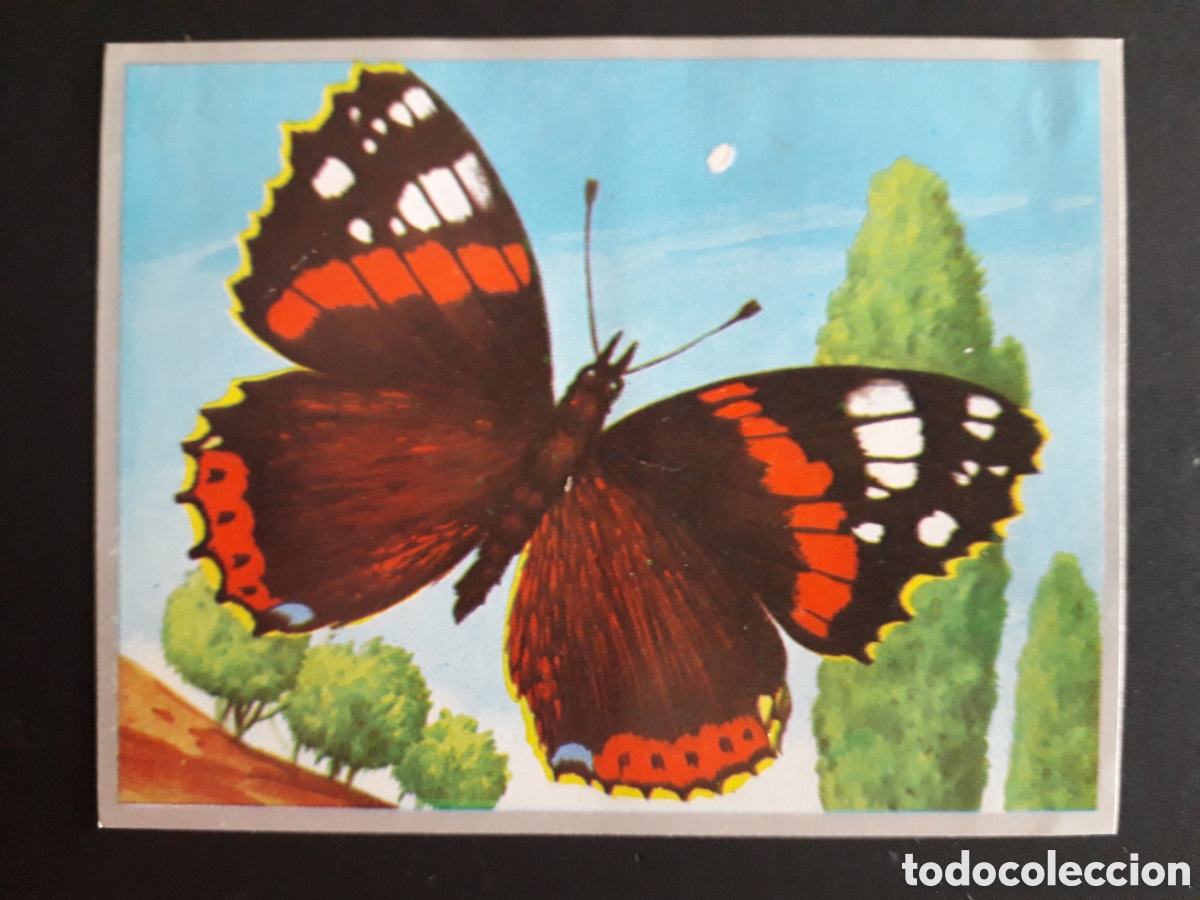 Colecionismo Cromos antigos: MARIPOSAS ZOOLOG&Iacute;A Y BOT&Aacute;NICA N&deg; 74 ED MAGA 1969 DESPEGADO PEDIDO M&Iacute;NIMO 3&euro;