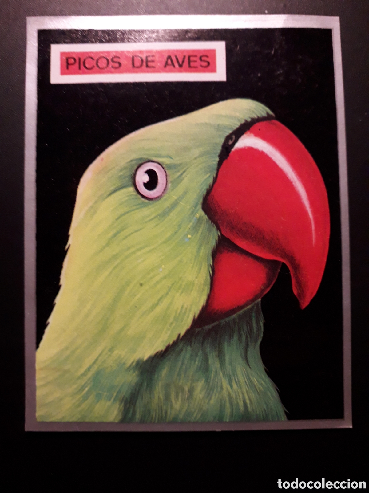 Coleccionismo Cromos antiguos: LORO, PICOS DE AVES ZOOLOG&Iacute;A Y BOT&Aacute;NICA N&deg; 122 ED MAGA 1969 DESPEGADO PEDIDO M&Iacute;NIMO 3&euro;