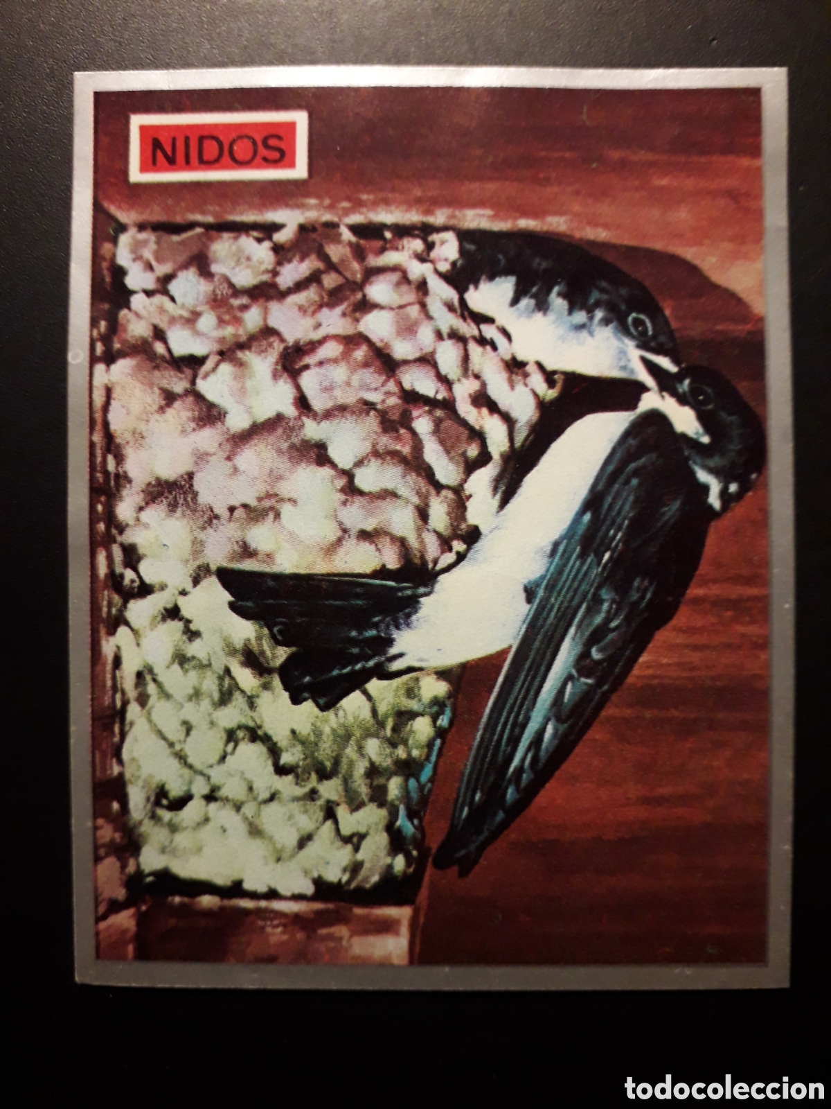 Coleccionismo Cromos antiguos: NIDOS DE AVES, ZOOLOG&Iacute;A Y BOT&Aacute;NICA N&deg; 132 ED MAGA 1969 DESPEGADO PEDIDO M&Iacute;NIMO 3&euro;.