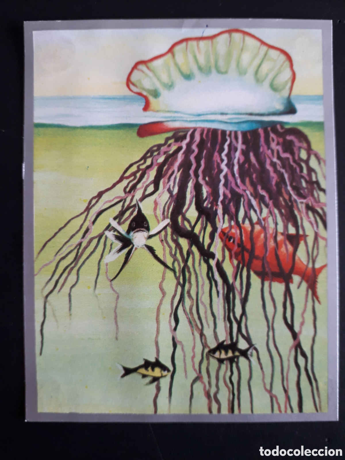 Sammeln alte Sammelbilder: SIMBIOSIS ZOOLOG&Iacute;A Y BOT&Aacute;NICA N&deg; 175 ED MAGA 1969 DESPEGADO PEDIDO M&Iacute;NIMO 3&euro;